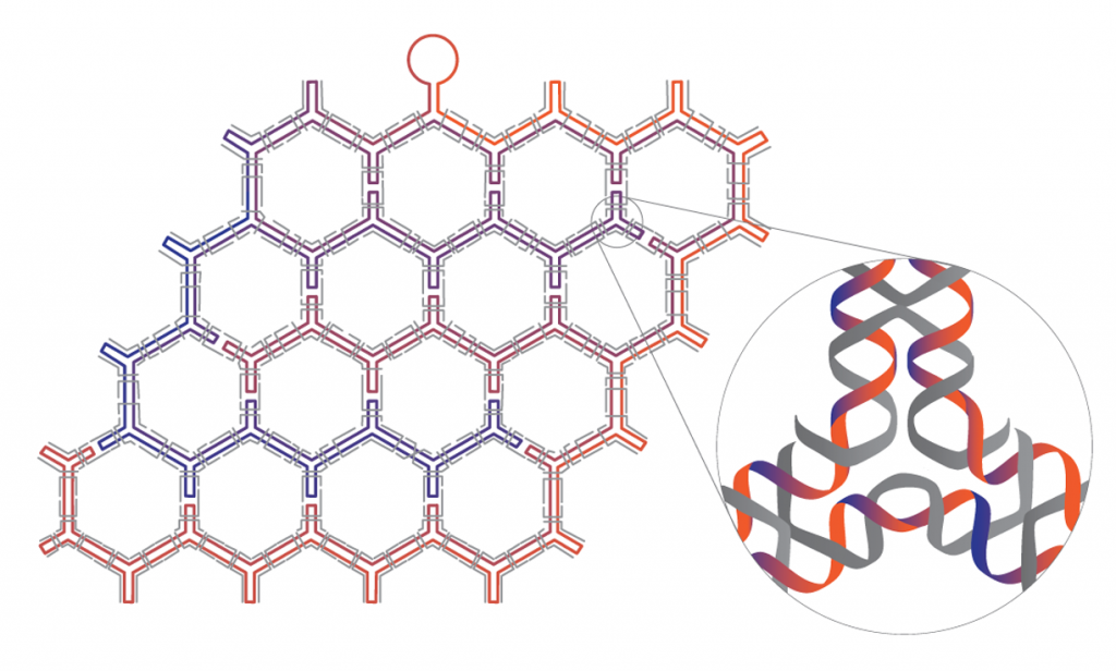 Jason Drees | DNA Origami Nanostructures Infographic